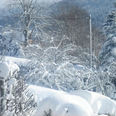 Exposition Sud Le Nid Douillet