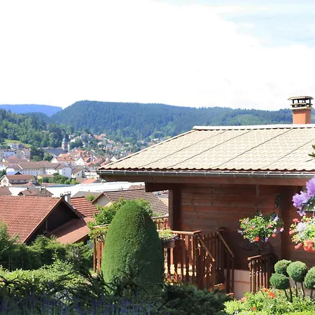 Exposition Sud Le Nid Douillet * Gérardmer