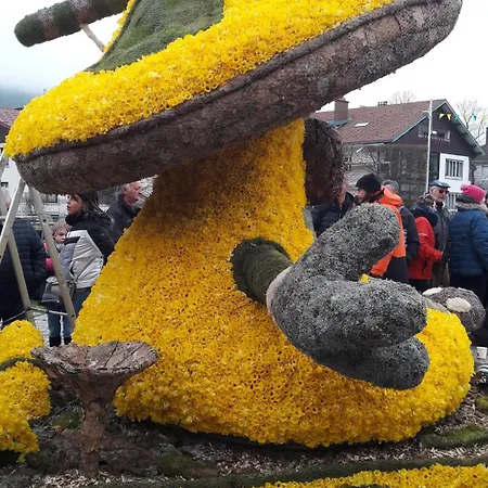 Exposition Sud Le Nid Douillet *