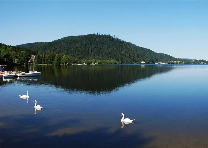 Exposition Sud Le Nid Douillet *