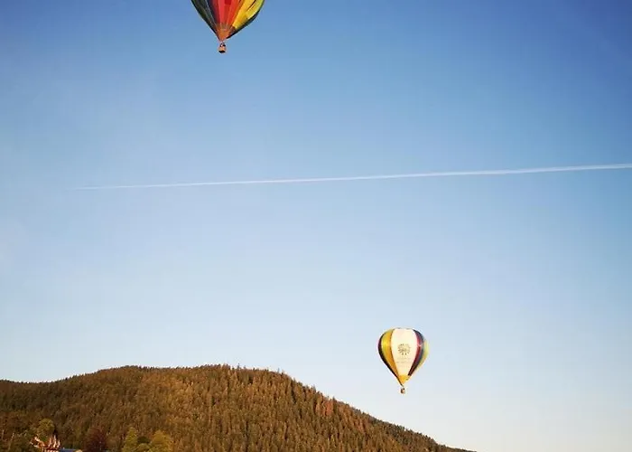 Exposition Sud Le Nid Douillet 샬레 *