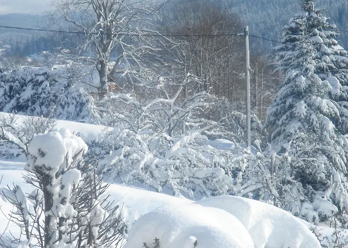 Exposition Sud Le Nid Douillet