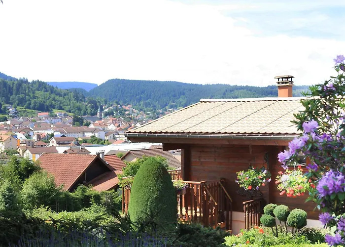 Exposition Sud Le Nid Douillet * 제라르메르