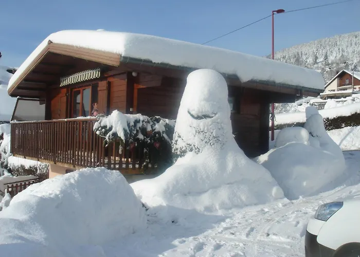 Exposition Sud Le Nid Douillet * Gérardmer