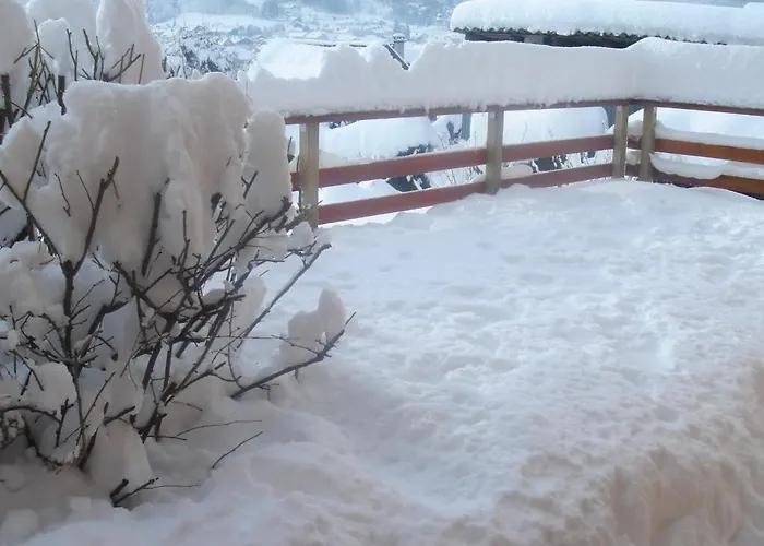 Exposition Sud Le Nid Douillet 샬레 제라르메르