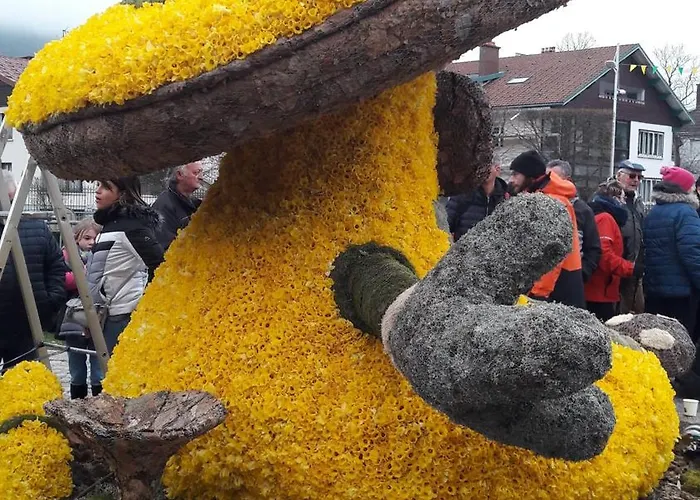 Exposition Sud Le Nid Douillet *